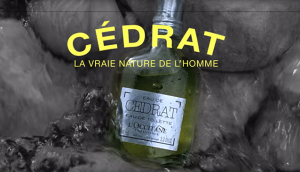 L'Occitane En Provence Cedrat: a citrusy men's cologne, new out this summer.