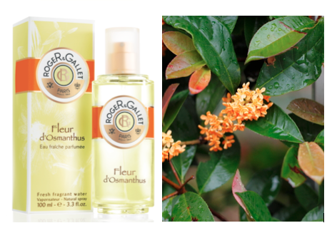 Under-$50 Friday: Roger&Gallet Fleur d’Osmanthus