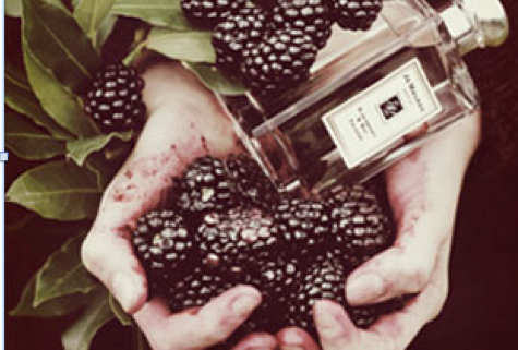 Jo Malone Blackberry & Bay