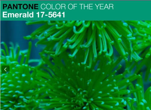 Pantone names Emerald colour of 2013