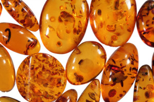 what is labdanum, amber