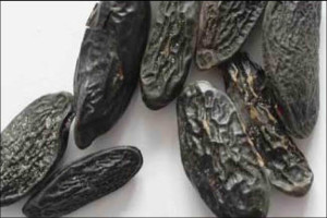 fragrance ingredient coumarin, tonka beans