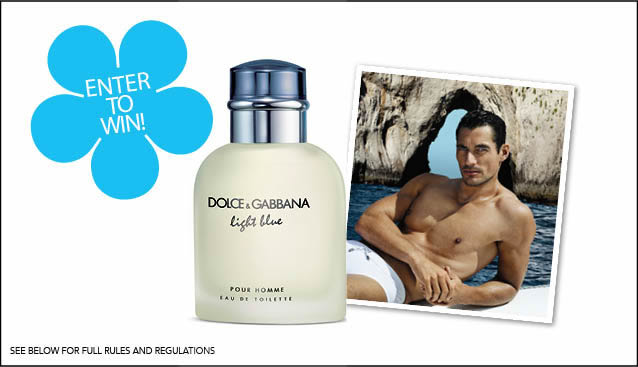 Dolce & Gabbana Light Blue Pour Homme Giveaway