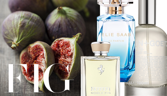 Fig perfumes, sweet & savoury