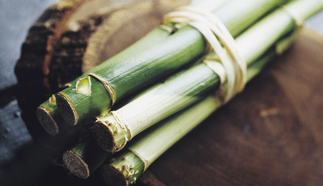 Superhero bamboo inspires perfume and beauty