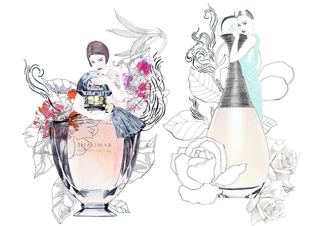 Perfume illustrations by French designer Coco